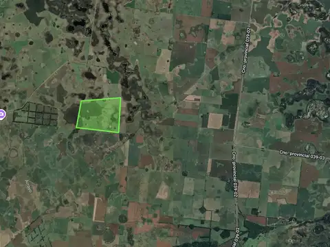 Campo en Venta de 174  ha