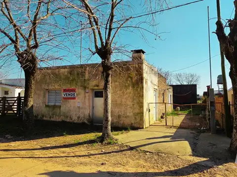 Dos casas a reciclar sobre Juan José Paso (e/ Malvinas Argentinas y Paso de los Andes). SAN JOSE.