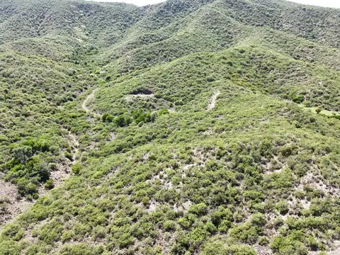 Venta de 4 Terrenos/fracciones en B° El Torreón, Calamuchita. Cód (3116)