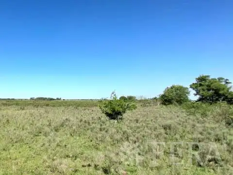 Venta campo de 49 hectareas en La Plata