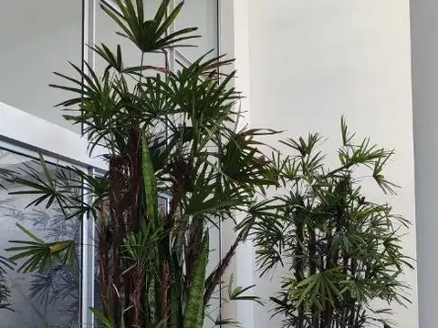 Departamento en Venta 10 años