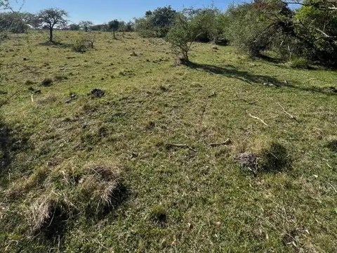 Campo en Venta Ganadero