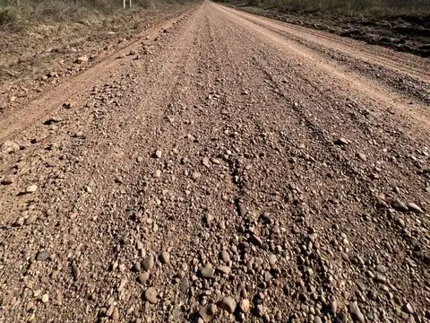 Campo en Venta de 216  ha