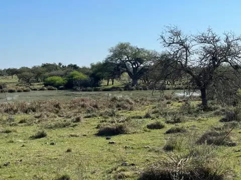 Campo en Venta de 216  ha