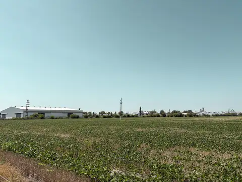 Campo agricola en Armstrong con 25 hectáreas