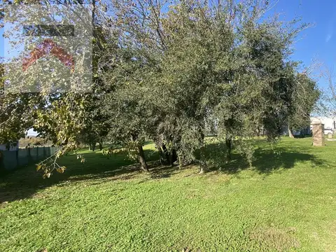 Terreno en Venta 20  mts Frente