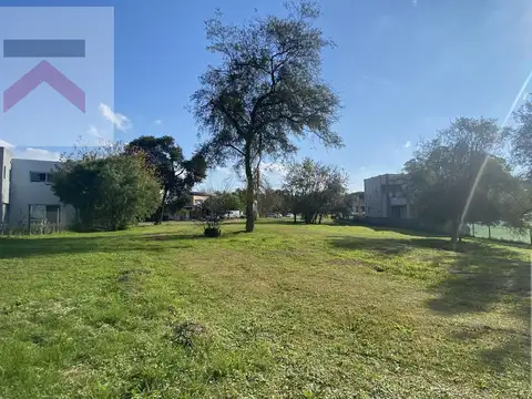Terreno en Venta 50  mts Fondo