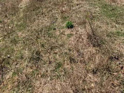 Circunvalación Oeste