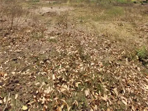 Circunvalación Oeste