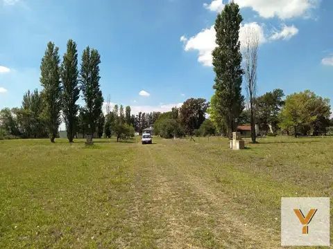 Los Girasoles de Luján
