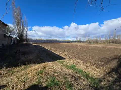 Ruta Provincial 100