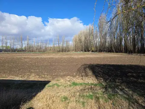Terreno en Venta de 50000,0 m2