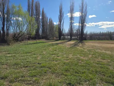 CHACRA DE 5 Has CON FRENTE DE RUTA DEL PETROLEO