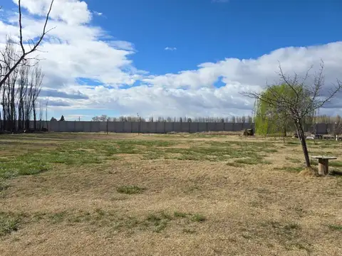 Ruta Provincial 100