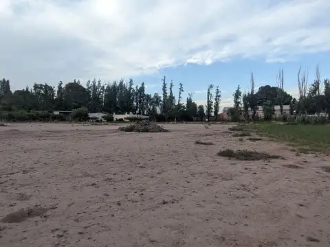 Alquiler de Terreno de 1 ha en Russell, Maipú
