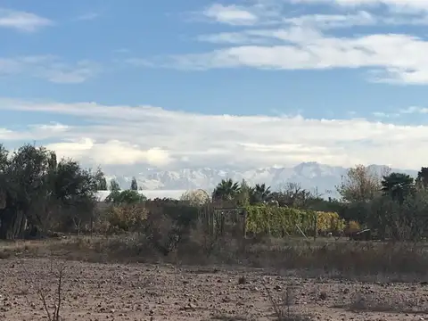 Terreno en Alquiler de 10000,0 m2