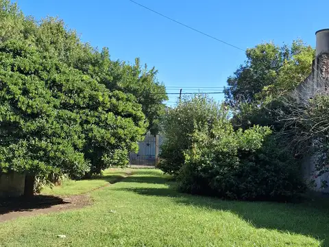 Avellaneda 100