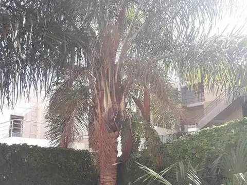 ANGEL GALLARDO al 500