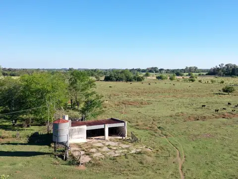 83 Has. Campo entre Manzanares y Open Door