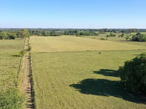 Campo en Venta Agricola