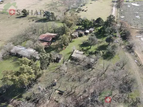 Campo en Olivera