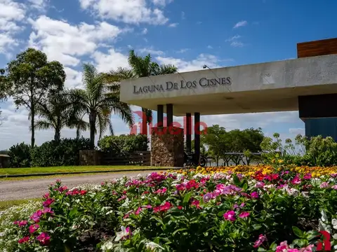 Terreno En Venta, Laguna De Los Cisnes, Sauce de Portezuelo