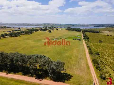 Ruta Inter balnearia Km 108. Punta del Este,