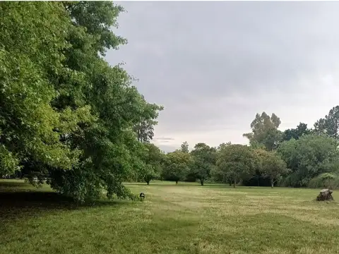 Casa en alquiler pilar