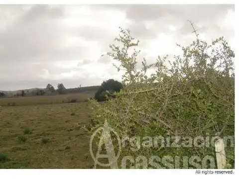 camino a zanja de chavez