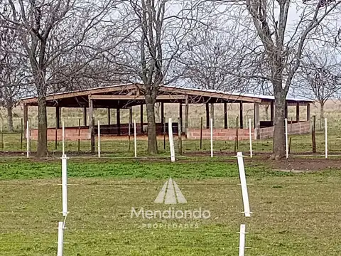 Campo - 16 hectáreas con infraestructura / La Ballenera, Gral. Alvarado