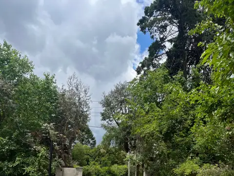 Terreno en Venta 42  mts Frente