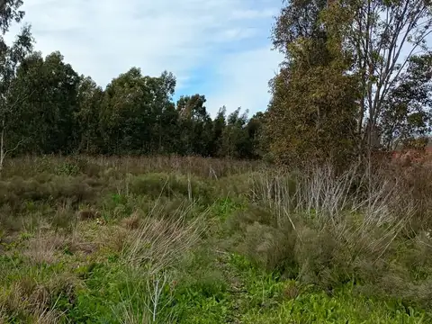 4.5 HECTARIAS EN VENTA EN VILLA GARIBALDI