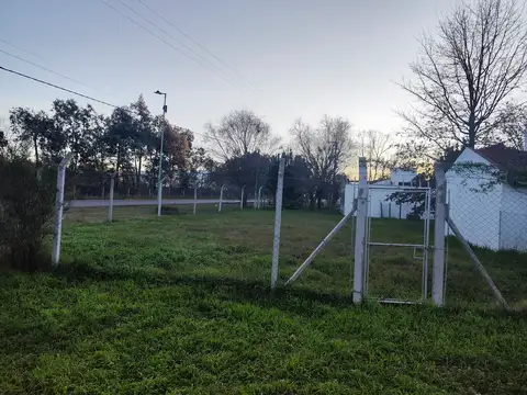 Carlos Pellegrini 200