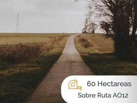 Venta campo sobre A012 Roldán.