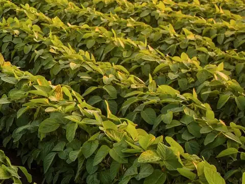 Frente al Parque industrial Roldan, sobre A012