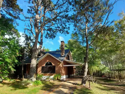 Calle Crisantemos al 400