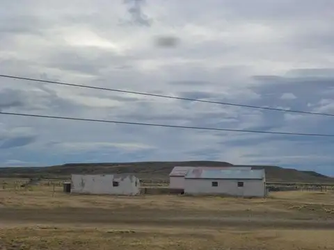 Campo próximo a Tres Lagos - RP 288