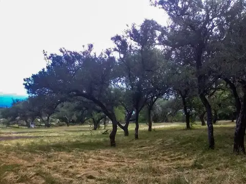 Terreno en Venta de 1971,0 m2