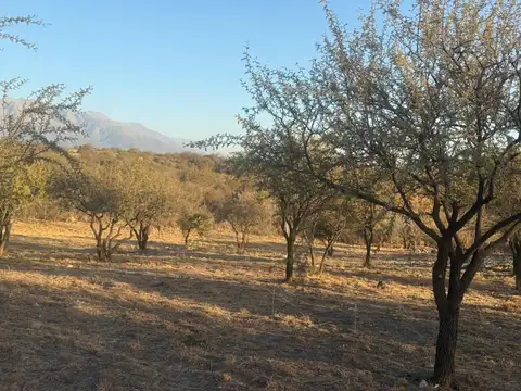 Terreno en Arroyo de los Patos