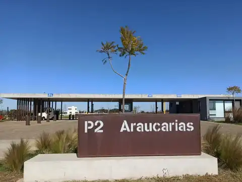 Avenida de los Lagos