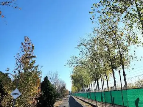 Terreno en Venta de 1260,0 m2