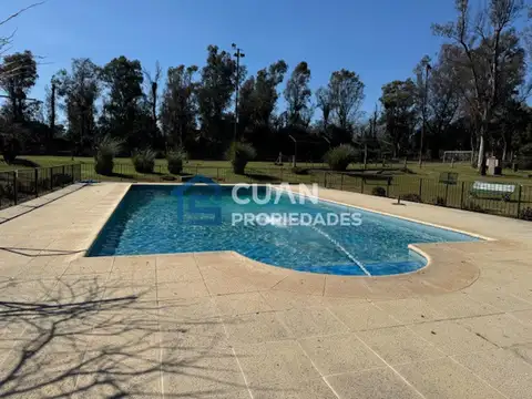 Los Potrillos