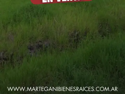 Gran lote en Machagai