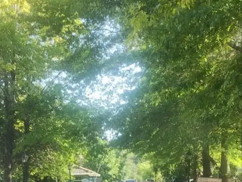 Terreno en Venta de 638,0 m2