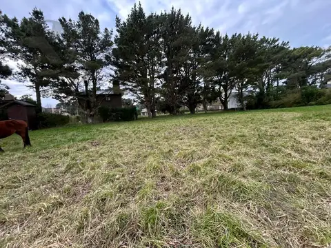 OPORTUNIDAD | VENTA I EXCELENTE LOTE ARBOLADO I LA CALETA