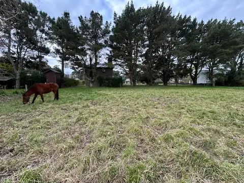 OPORTUNIDAD | VENTA I EXCELENTE LOTE ARBOLADO I LA CALETA