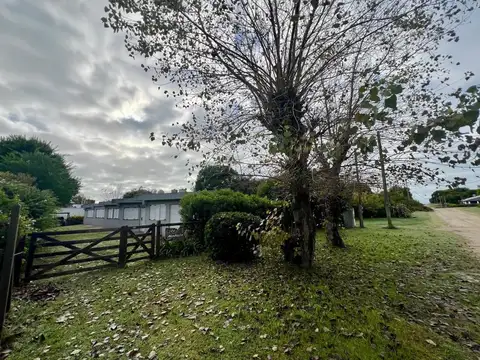 Florentino Ameghino 1300