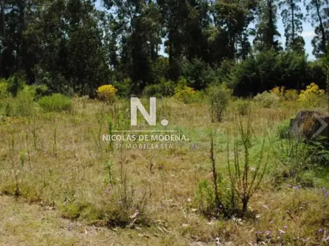 Terreno en venta en Golf Punta del Este