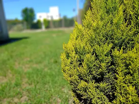 Casa en Venta al Sur