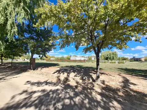 Terreno en Venta en General Roca, USD 19.000